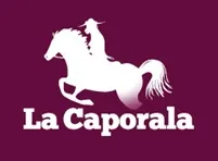 Galu Inmobiliaria Logo